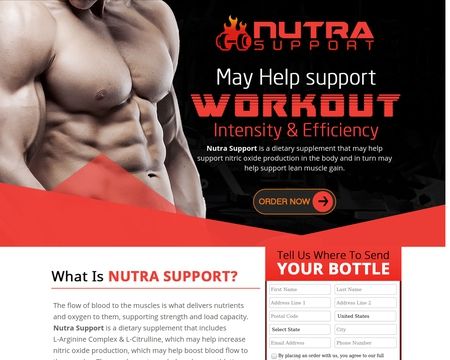 website thubmnail of Nutra Support