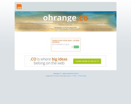website thubmnail of Ohrange.co