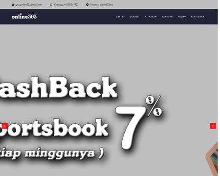 website thubmnail of Online303