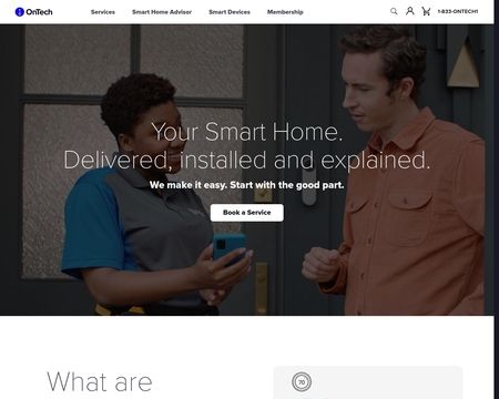 website thubmnail of Ontechsmartservices