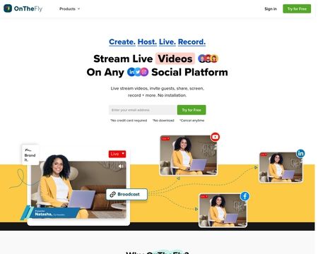 website thubmnail of OnTheFly