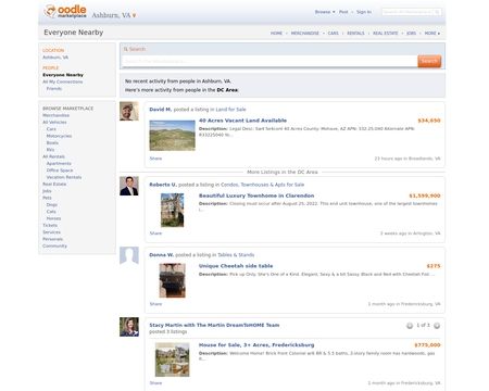website thubmnail of Oodle