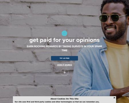 website thubmnail of OpinionOutpost