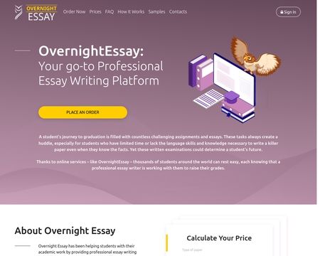 website thubmnail of Overnight  Essay