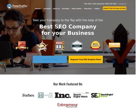 website thubmnail of Pagetraffic