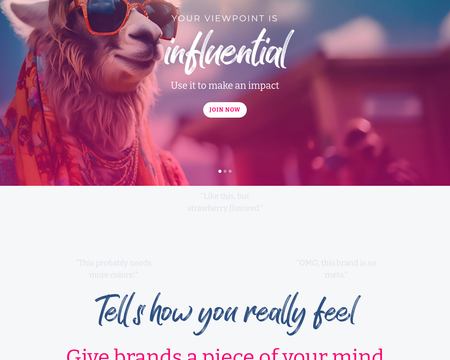 website thubmnail of PaidViewpoint