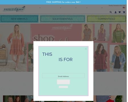 website thubmnail of Paisley Grace Boutique