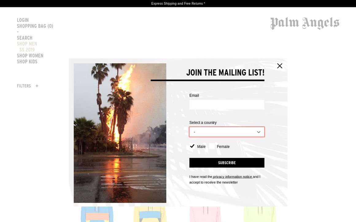website thubmnail of Palm Angels