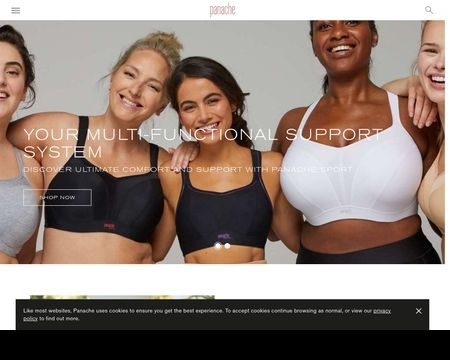 website thubmnail of Panache