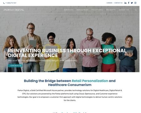 website thubmnail of Parkar Consulting & Labs