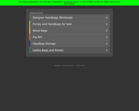 website thubmnail of Paybagsinc