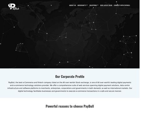 website thubmnail of PayBull