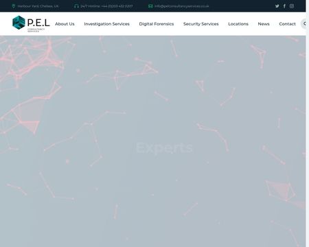 website thubmnail of P.E.L Consultancy Services