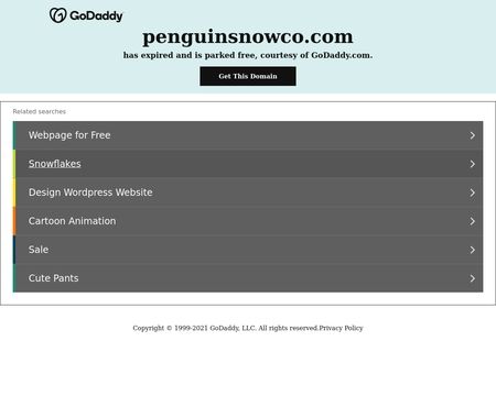 website thubmnail of Penguin Snow Co.