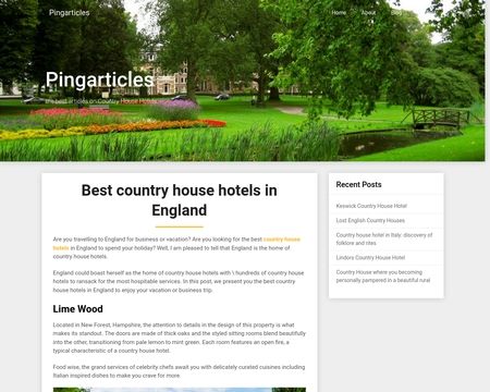 website thubmnail of Pingarticles.net
