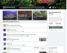 The Planted Tank Forum