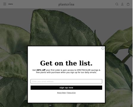 website thubmnail of Planterina