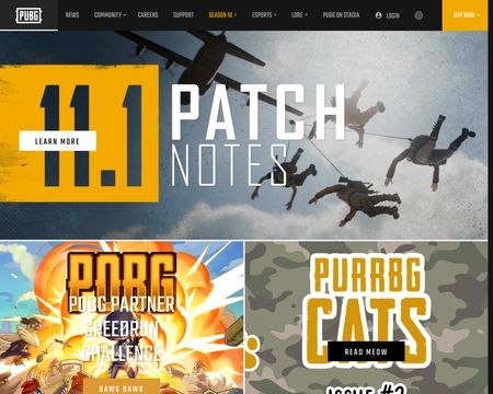 website thubmnail of Playbattlegrounds
