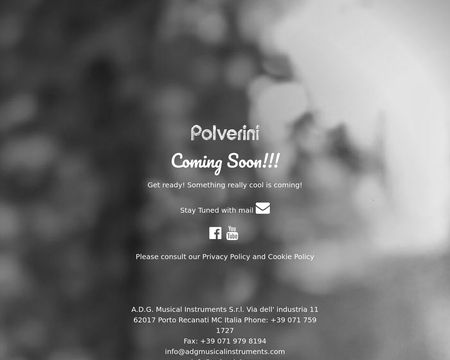 website thubmnail of Polverini