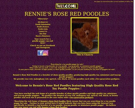website thubmnail of Rennie’s Red Rose Poodles