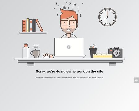 website thubmnail of PPay Inc