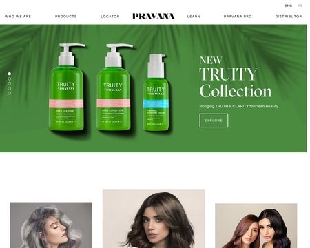 website thubmnail of Pravana