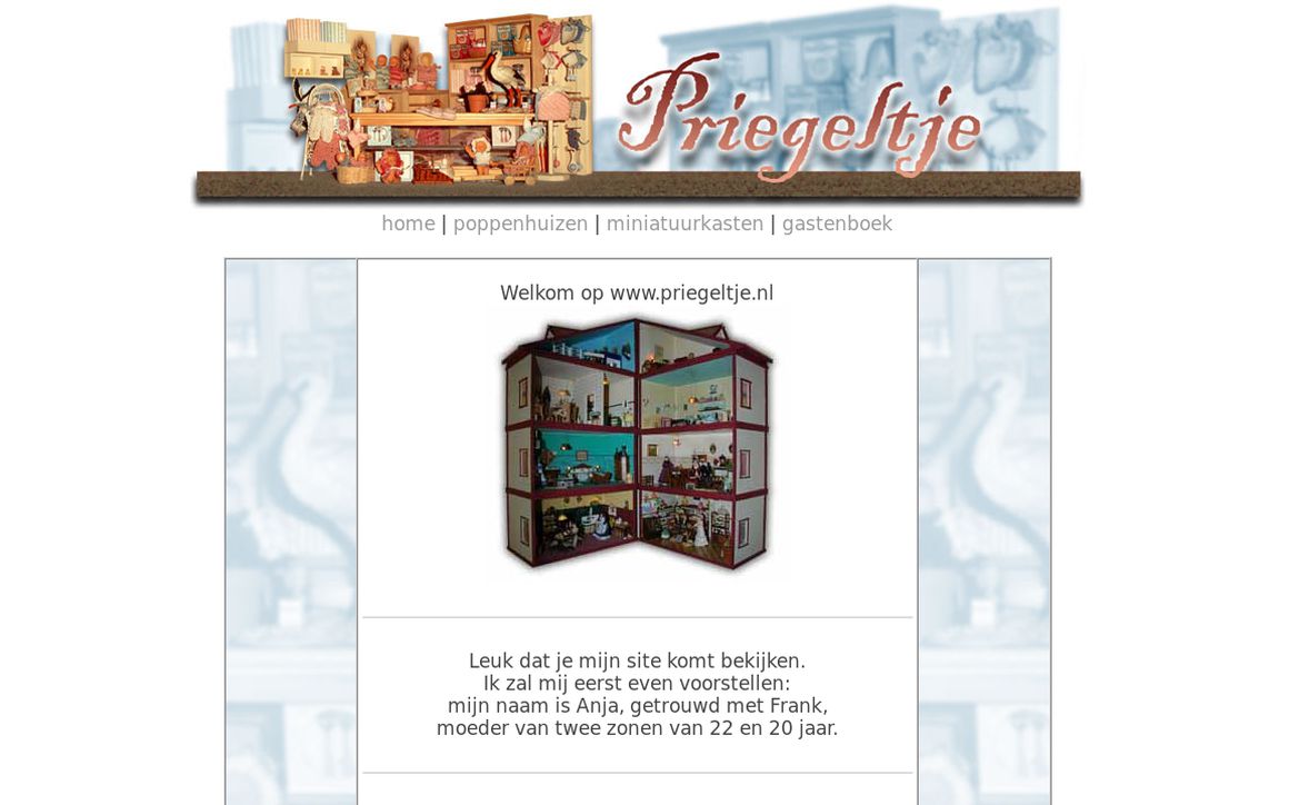 website thubmnail of Priegeltje.nl