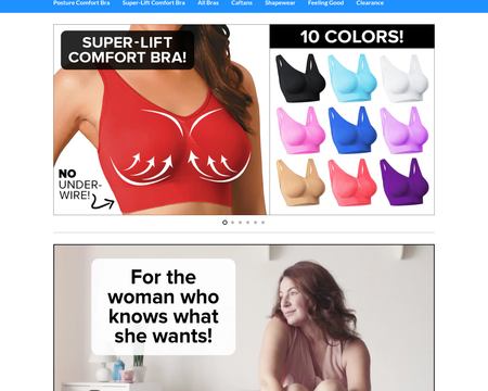website thubmnail of Primo Comfort