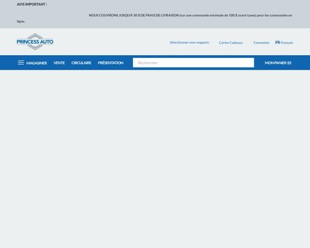 website thubmnail of Princess Auto CA