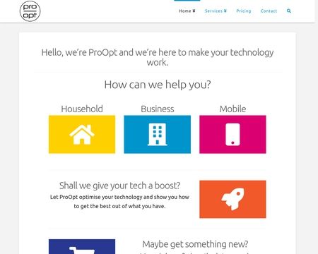 website thubmnail of ProOpt