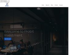 Thumbnail of Probit Investment