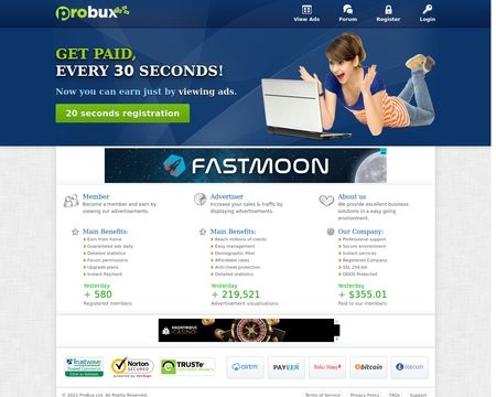 website thubmnail of Probux.net