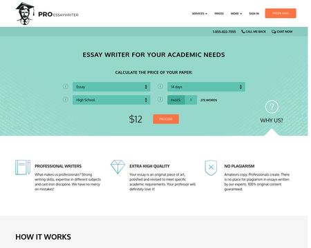 website thubmnail of Pro Essay Writer