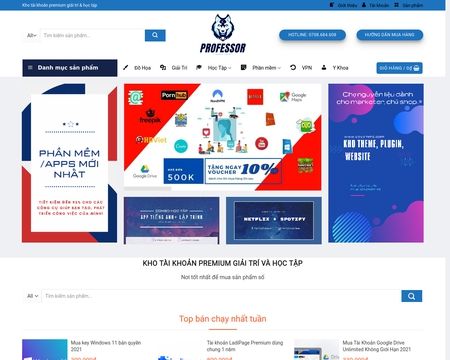 website thubmnail of Professorvn.net