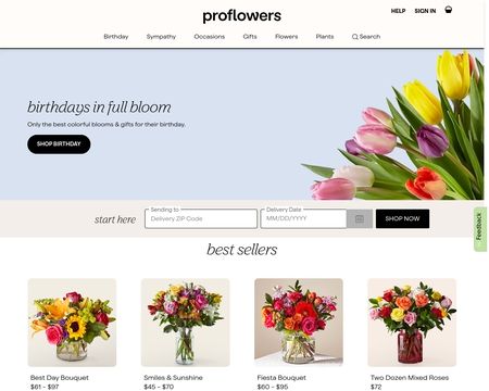 website thubmnail of ProFlowers