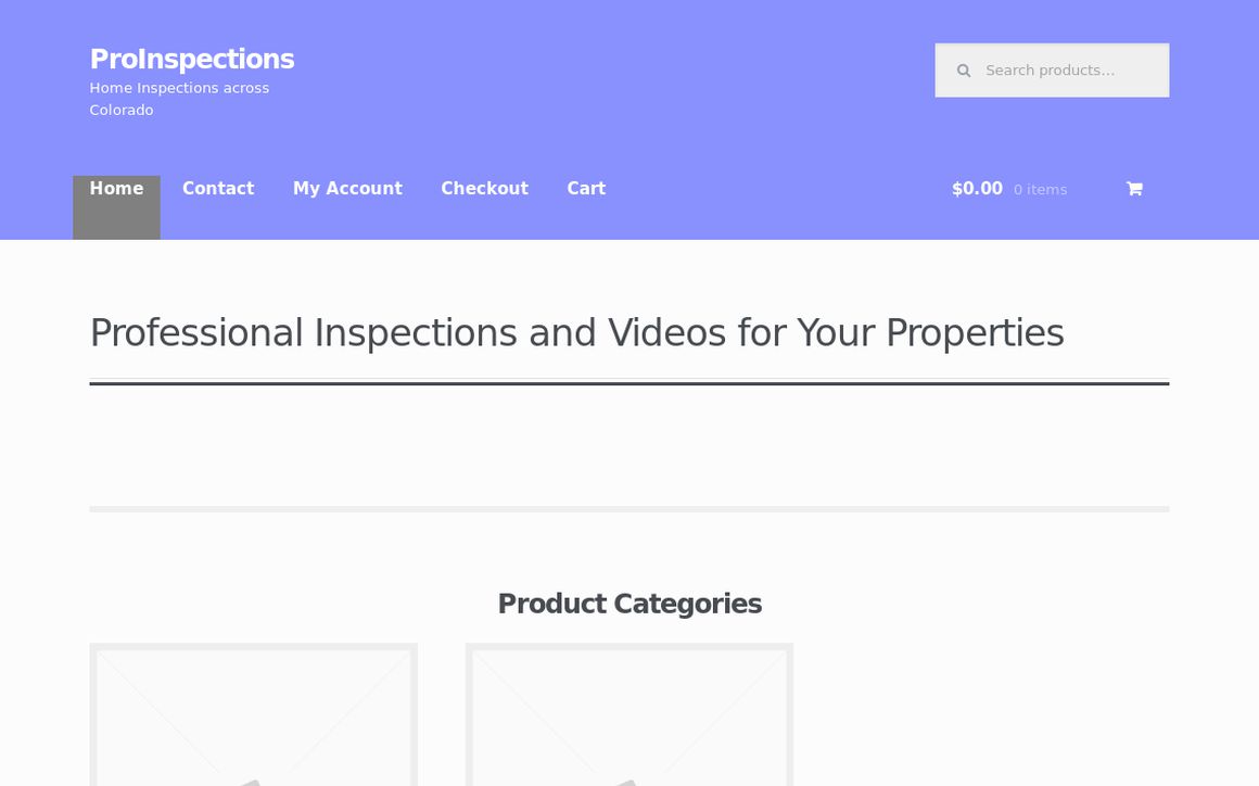 website thubmnail of ProInspections.US