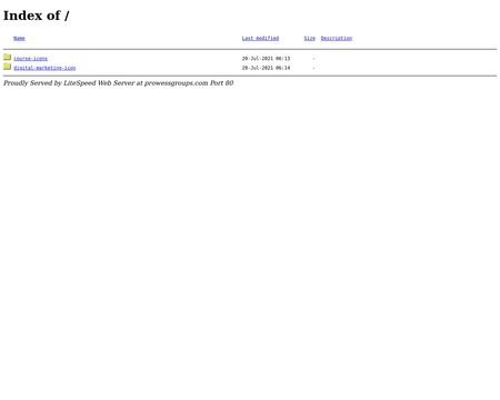 website thubmnail of Prowess Groups