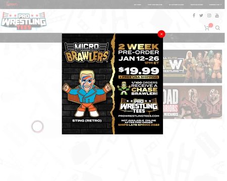 website thubmnail of Pro Wrestling Tees®