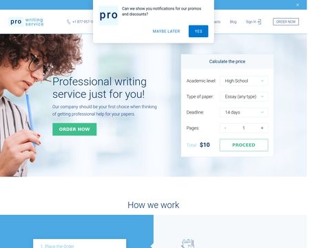 website thubmnail of Pro Writing Service
