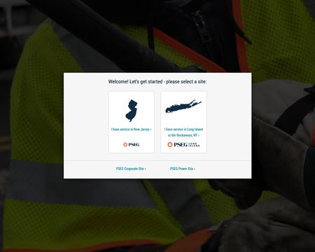 website thubmnail of Pseg