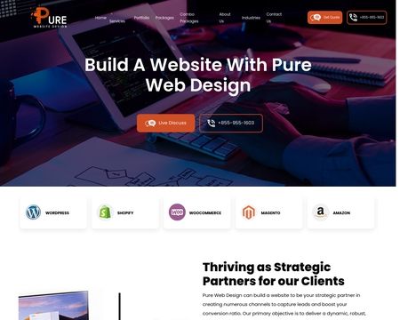 website thubmnail of Purewebsitedesign