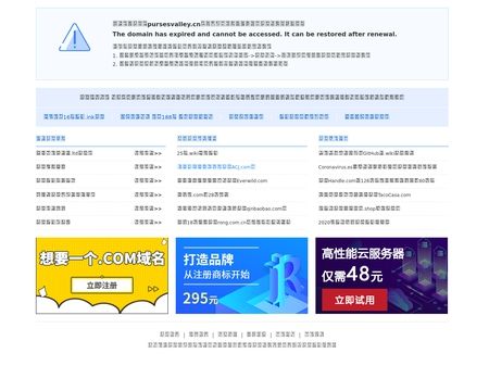 website thubmnail of Pursesvalley.cn