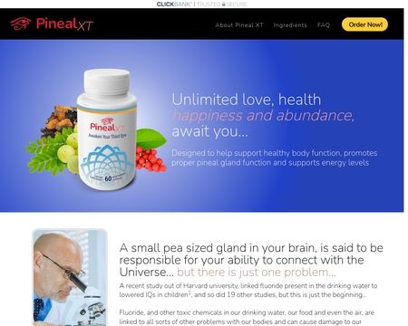 website thubmnail of Pxt.pinealxt
