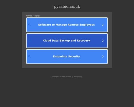 website thubmnail of PyraBid UK