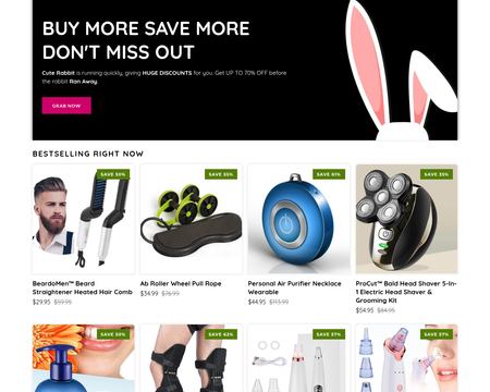 website thubmnail of Rabbit Quick