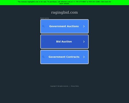 website thubmnail of RagingBid.com