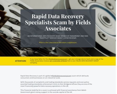 website thubmnail of Rapid Data Recovery