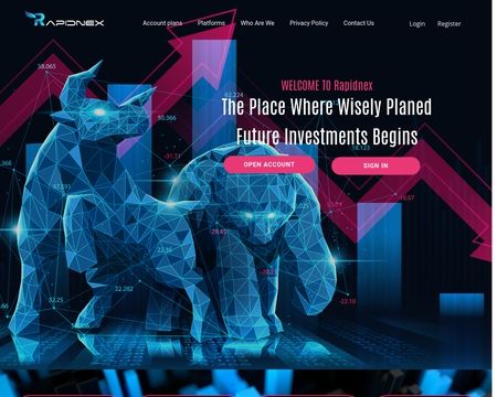 website thubmnail of Rapidnex