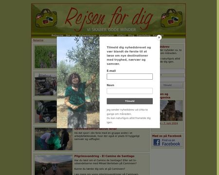 website thubmnail of Rejsenfordig.dk