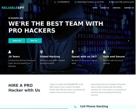 website thubmnail of Reliable Spy